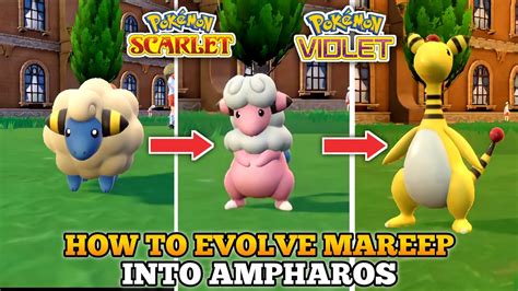 flaaffy evolution|when does mareep evolve.